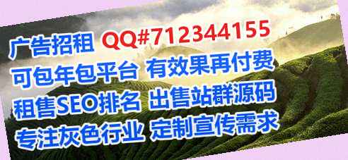 乐都试管翻译工作室